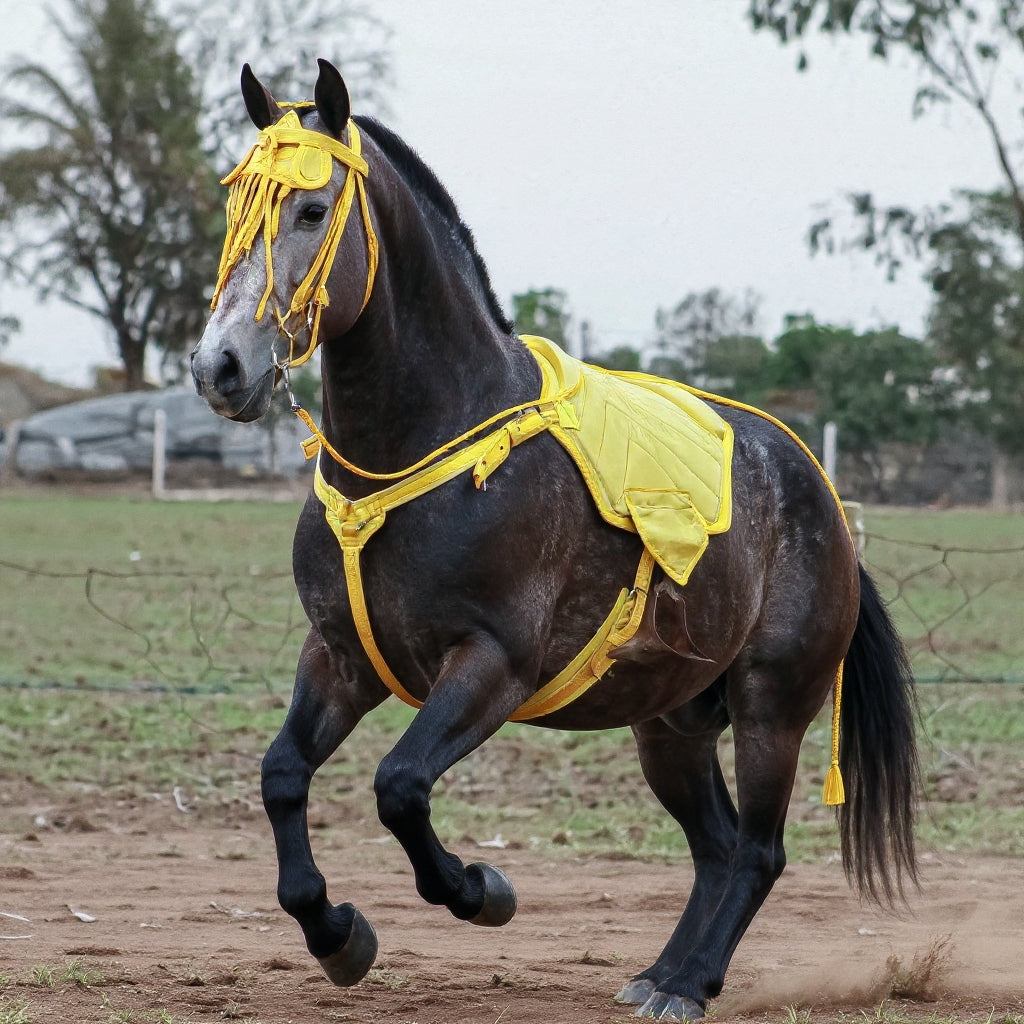 🐎 سريجة الخيل فاخرة  👌