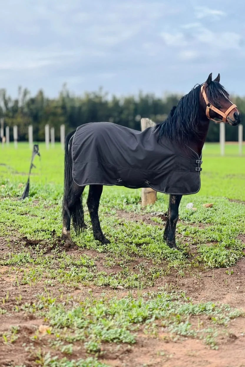 🐴🖤كوفر ديال العود للحماية